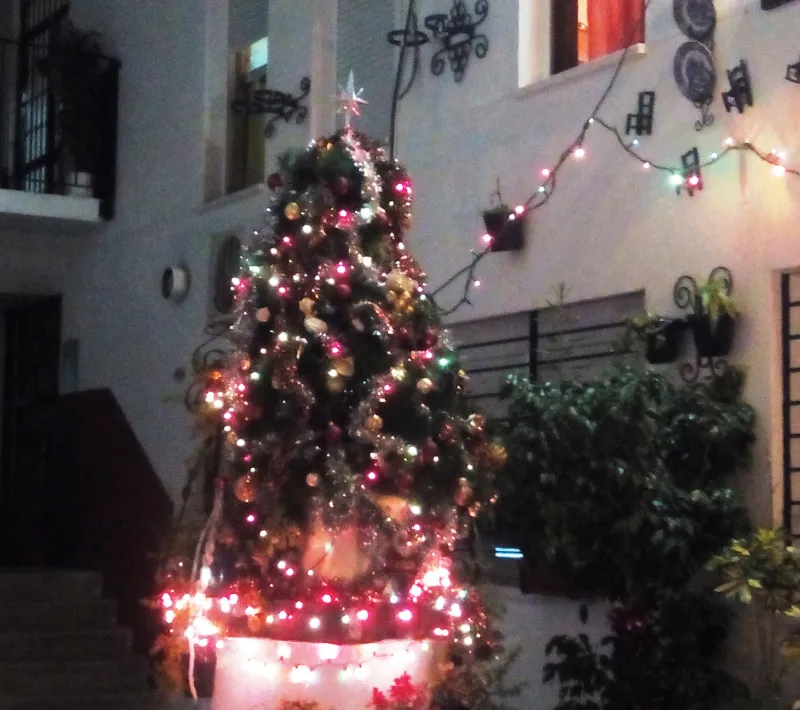 img 20141218 193127