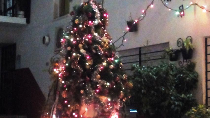 img 20141218 193127