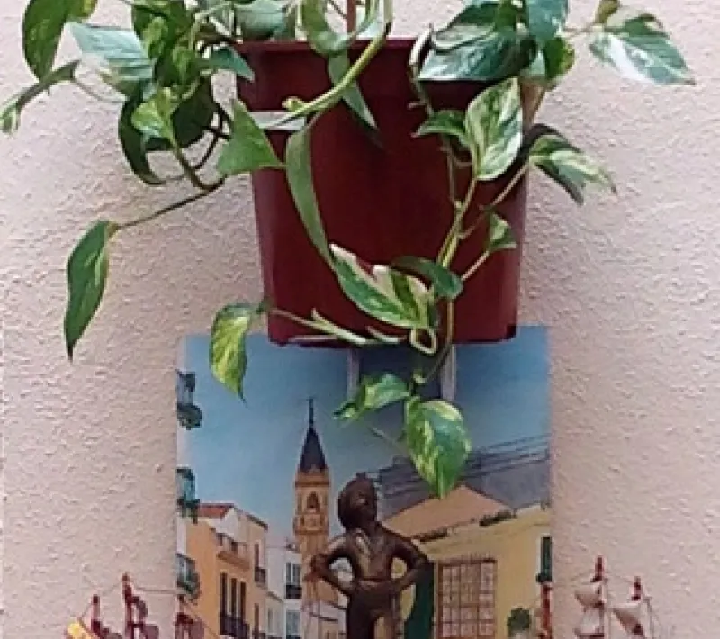 img 20150608 204418.1