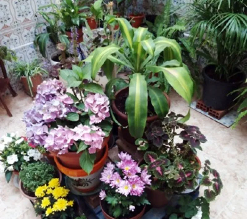 img 20150608 204434