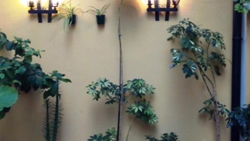img 20150608 205837