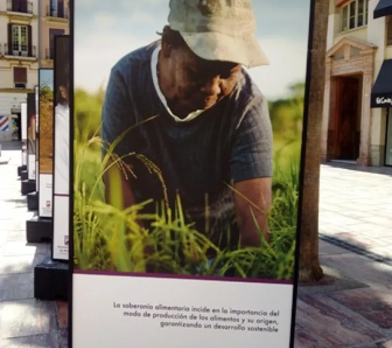 img 20150903 143253