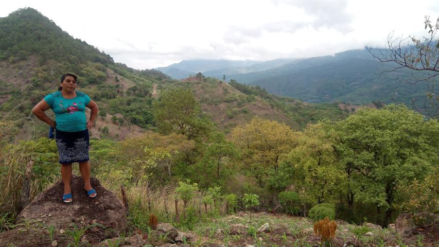 img 20190524 100734