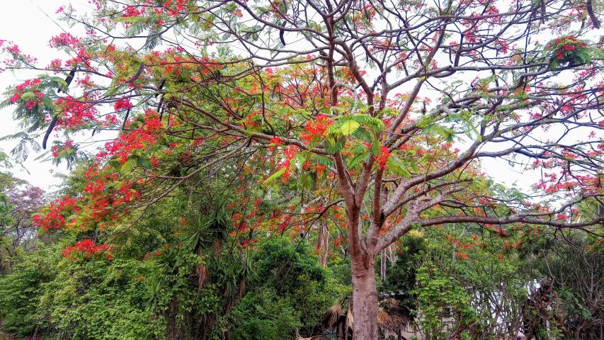 img 20190524 1116432
