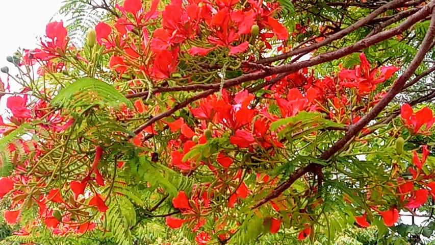 img 20190524 1117002