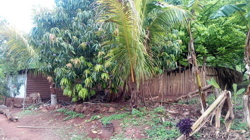 img 20190524 160520