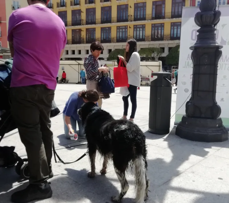 img 20190608 134948