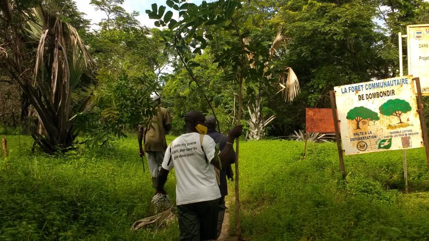 Senegal - Convenio Manos Unidas AECID - Foto Adele Lassalas - Reforestación en bosque comunitario