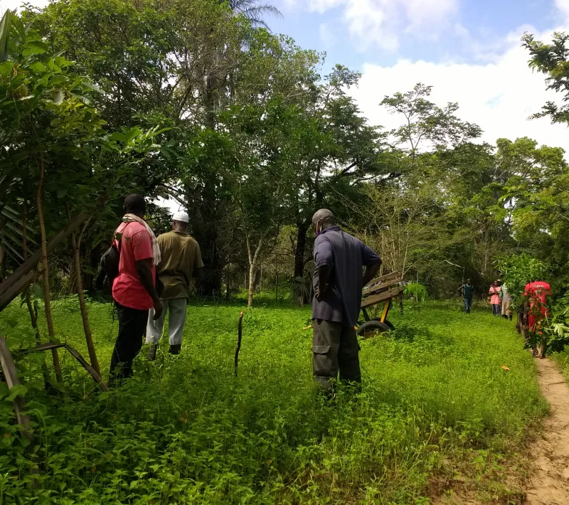Senegal - Convenio Manos Unidas AECID - Foto Adele Lassalas - Reforestación en bosque comunitario