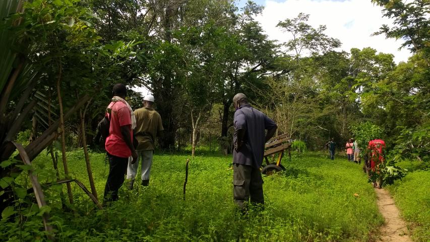 Senegal - Convenio Manos Unidas AECID - Foto Adele Lassalas - Reforestación en bosque comunitario