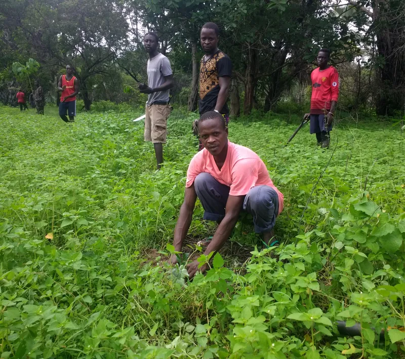 Senegal - Convenio Manos Unidas AECID - Foto Adele Lassalas - Reforestación en bosque comunitario