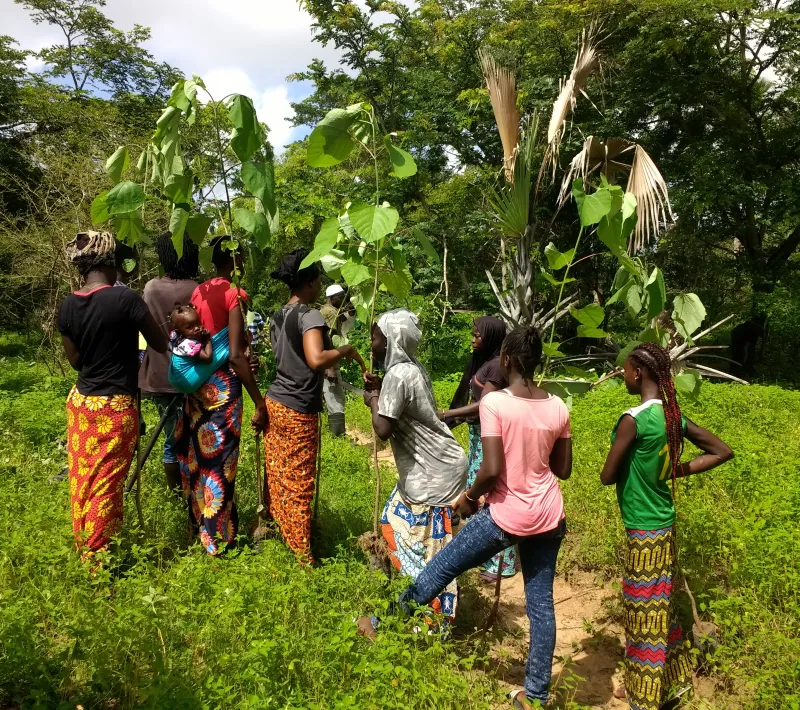 Senegal - Convenio Manos Unidas AECID - Foto Adele Lassalas - Reforestación en bosque comunitario