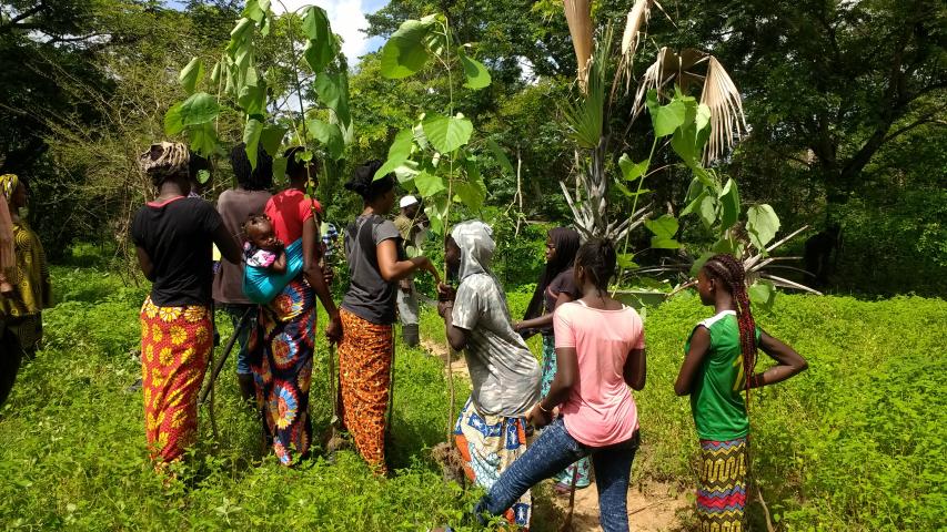 Senegal - Convenio Manos Unidas AECID - Foto Adele Lassalas - Reforestación en bosque comunitario