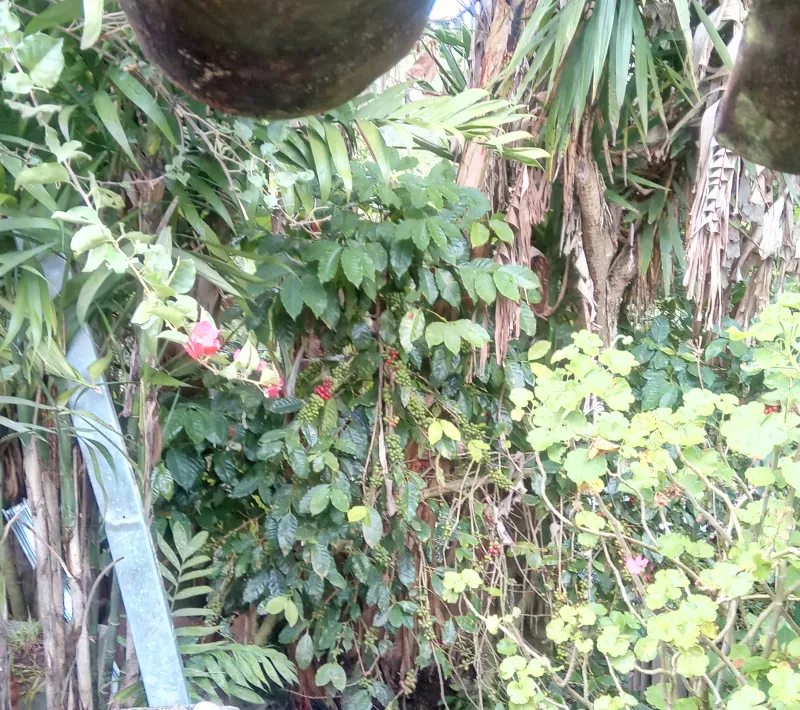 img 20211108 153245 0