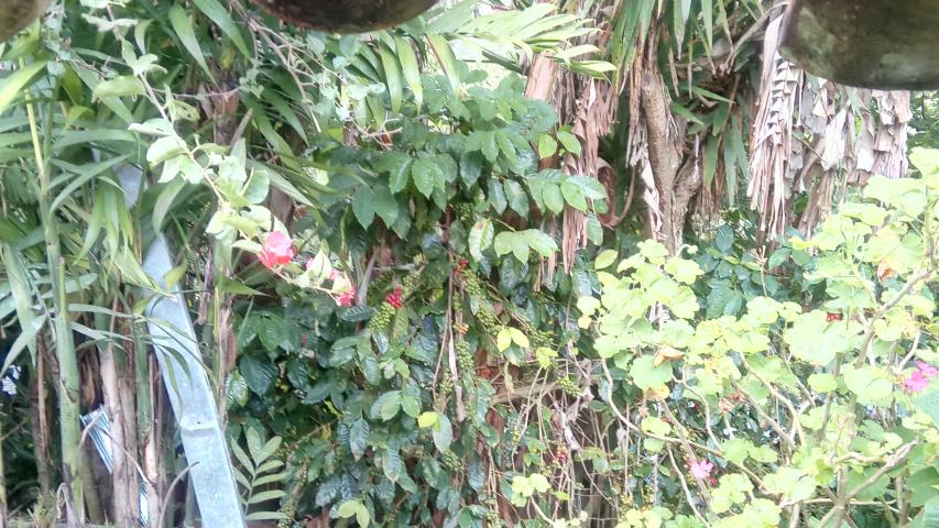 img 20211108 153245 0