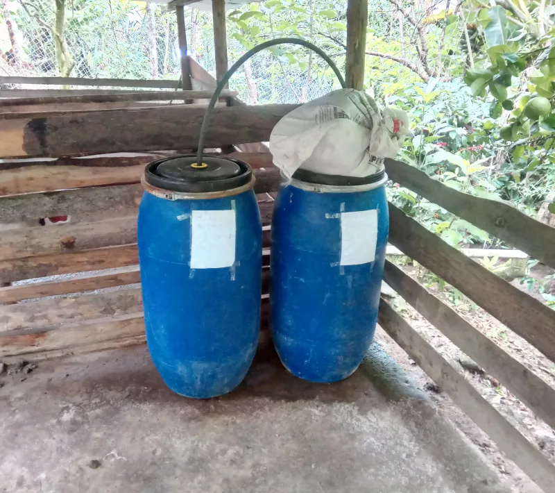 img 20211108 153802 4