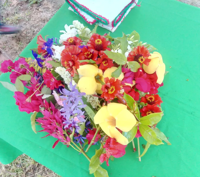 img 20211108 160355 4
