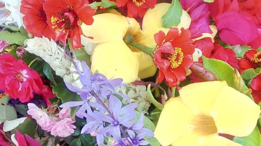 img 20211108 160413 4 1