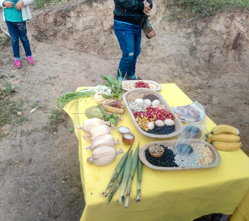 img 20211108 163502 5