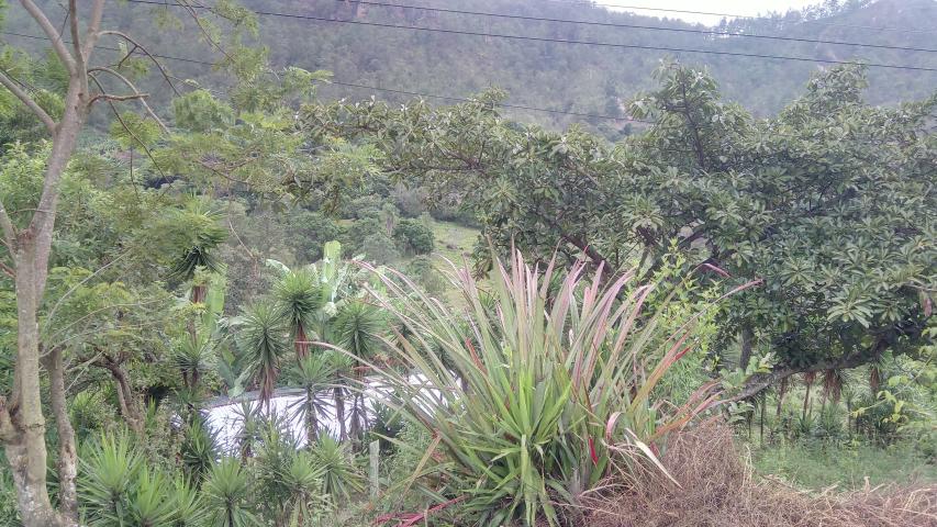 img 20211108 163648 0