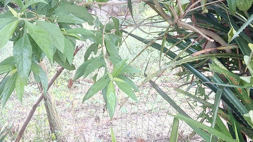 img 20211108 163806 5