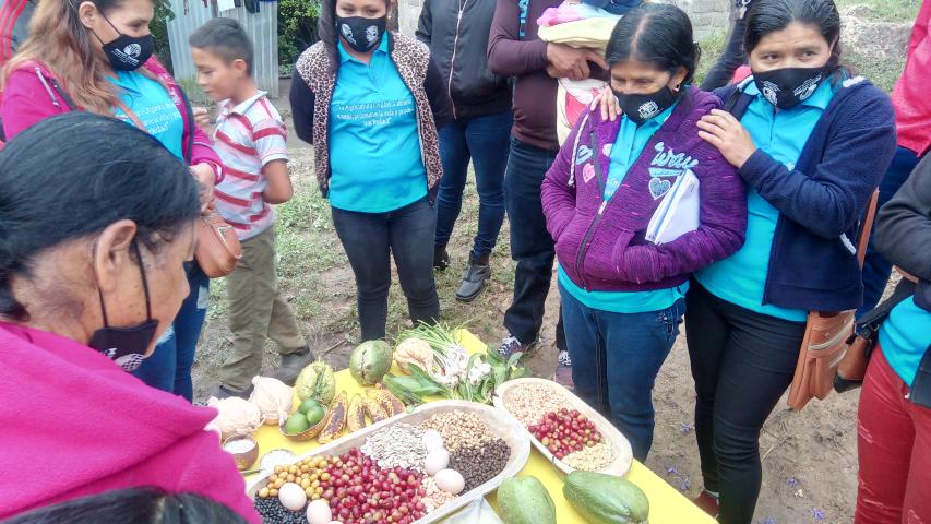 img 20211108 181025 7