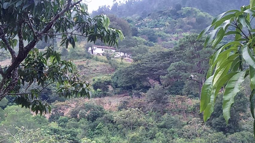 img 20211108 204122 4 1