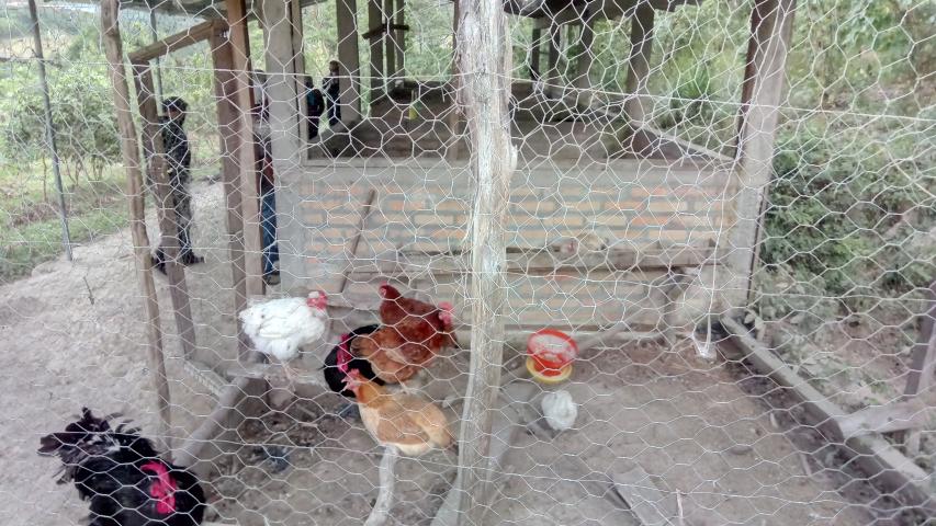 img 20211108 235411 1
