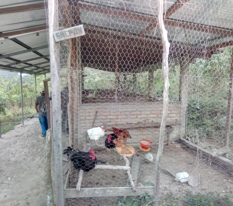 img 20211108 235418 1