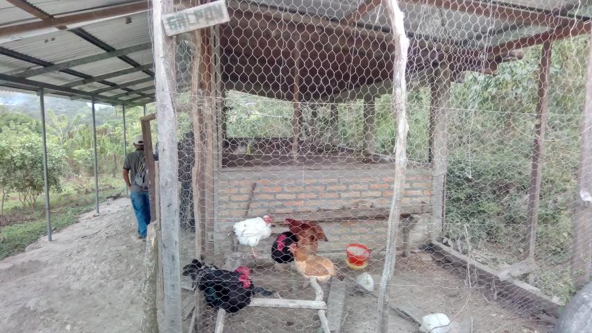 img 20211108 235418 1