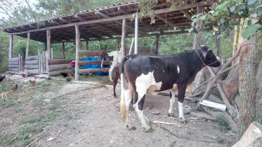 img 20211108 235713 5
