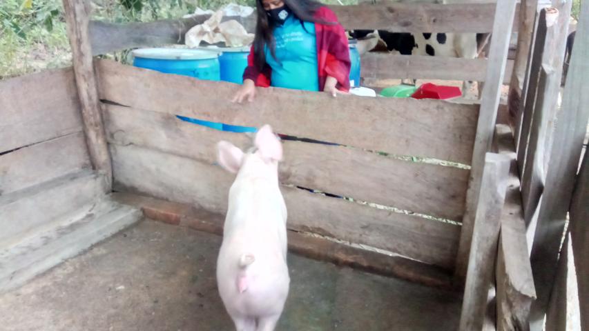 img 20211108 235813 8