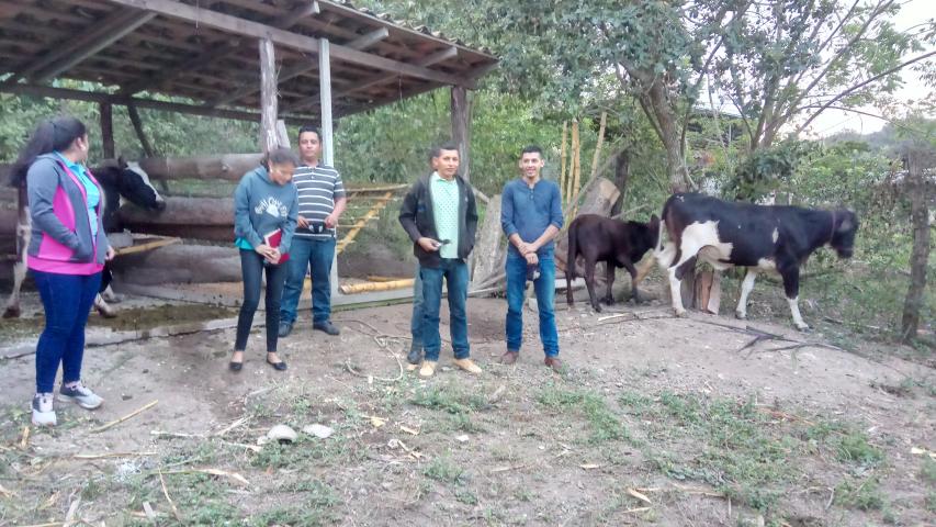 img 20211108 235926 5