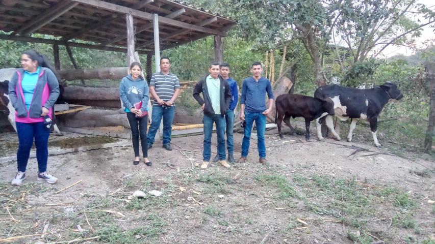 img 20211108 235930 3