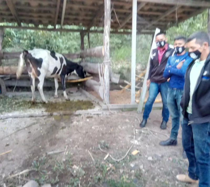 img 20211109 000025 2