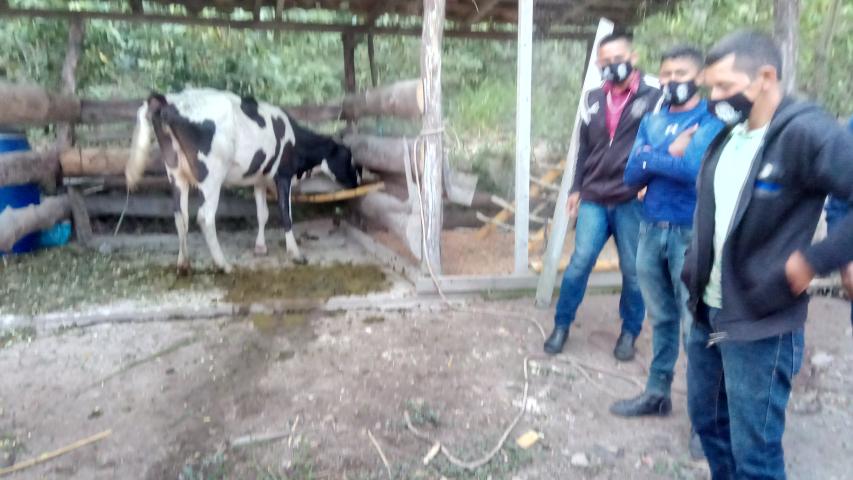 img 20211109 000025 2