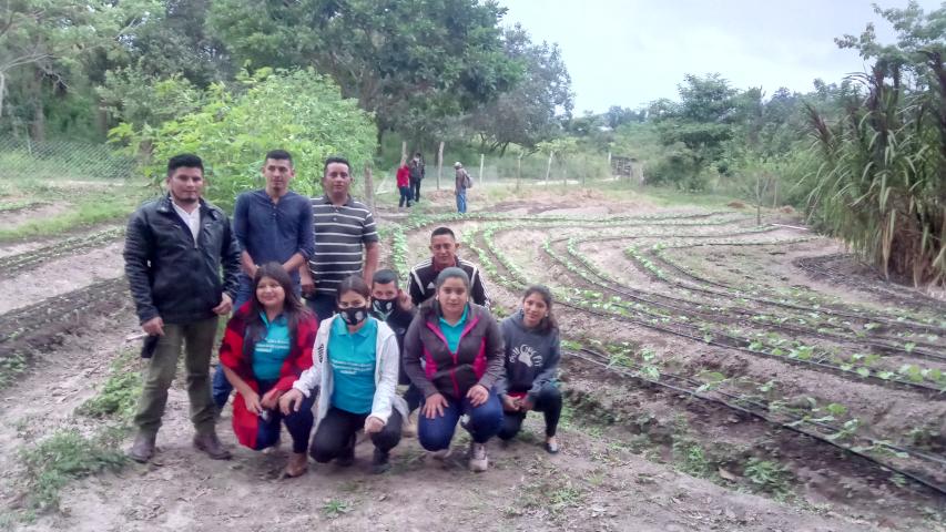 img 20211109 001010 0