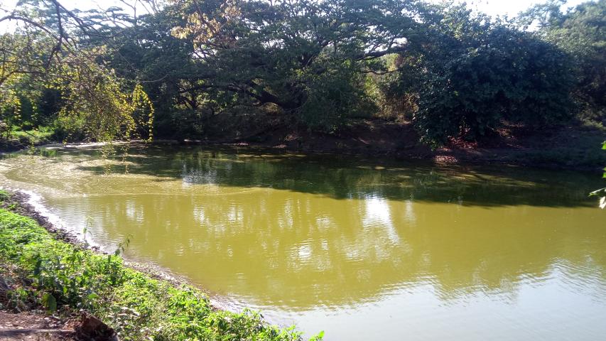 img 20220321 161125 928