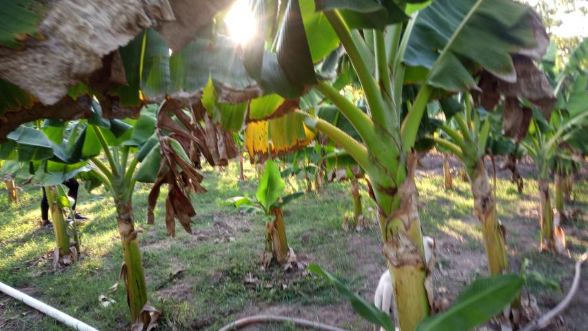 img 20220321 171731 337
