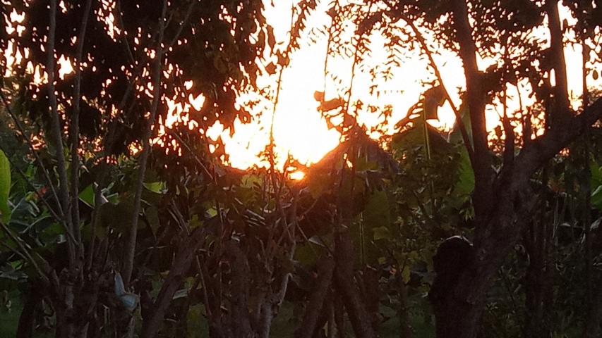 img 20220321 175550 746