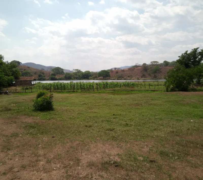 img 20220323 133911 533