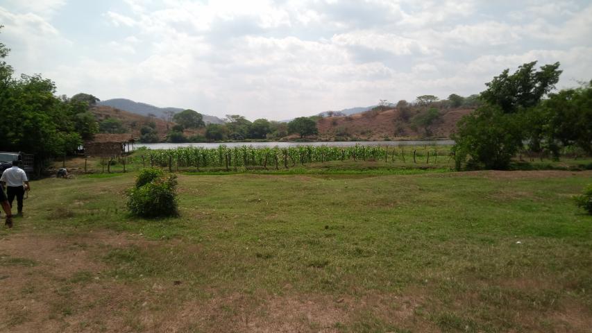 img 20220323 133911 533