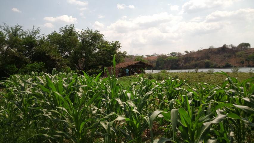 img 20220323 134310 730
