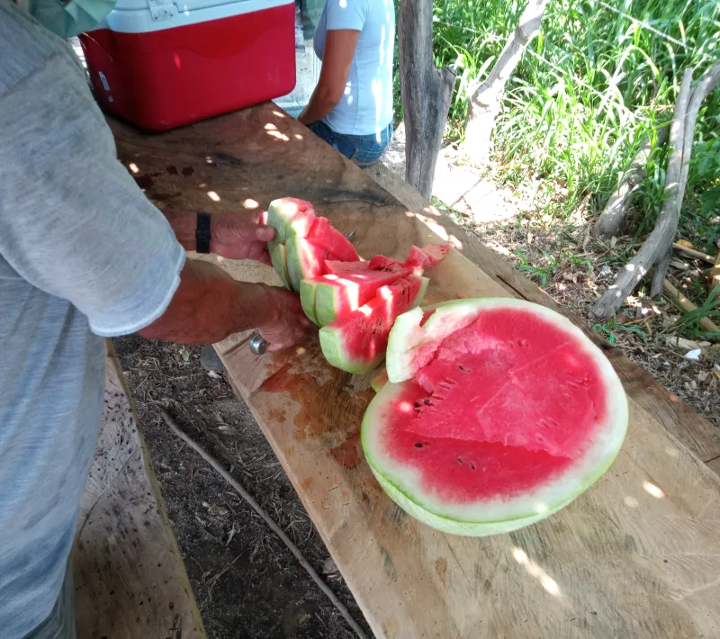 img 20220323 134911 478
