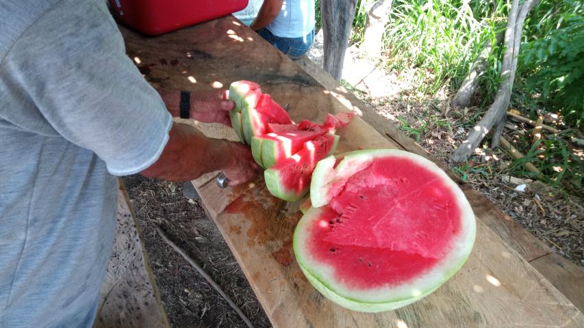 img 20220323 134911 478