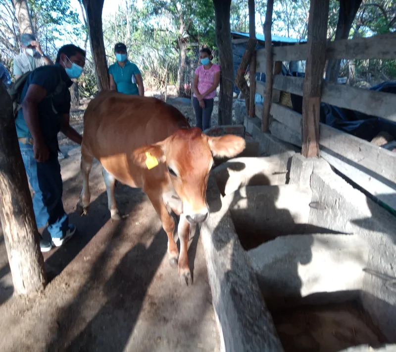 img 20220325 163003 037