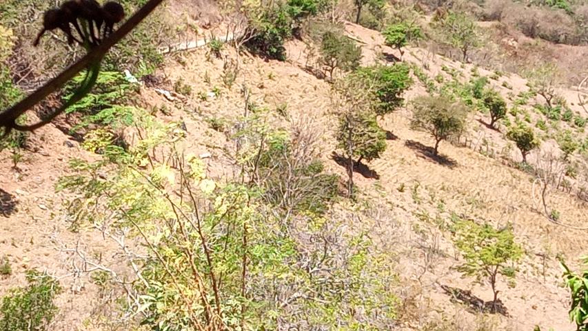 img 20220326 104848 119