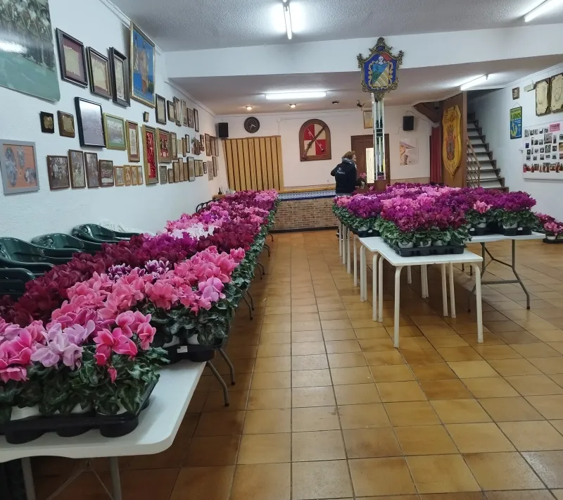 img 20230213 115157