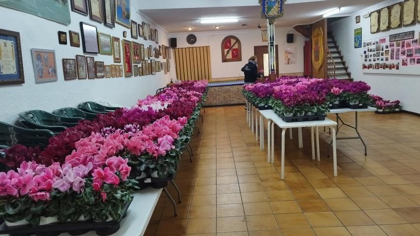 img 20230213 115157