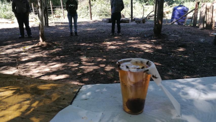 img 20230602 112115 1